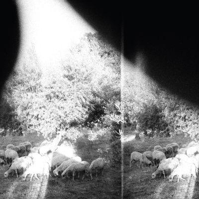 GODSPEED YOU BLACK EMPEROR! - ASUNDER, SWEET AND OTHER DISTRESS (2015) CD