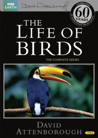 LIFE OF BIRDS: COMPLETE SERIES (1998) 3DVD