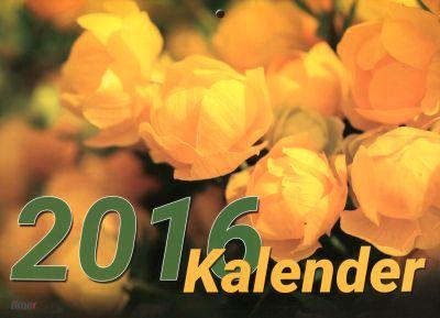 KALENDER COLOR A4 2016