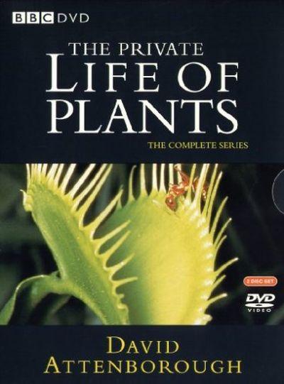 PRIVATE LIFE OF PLANTS: COMPLETE SERIES (1995) 2DVD