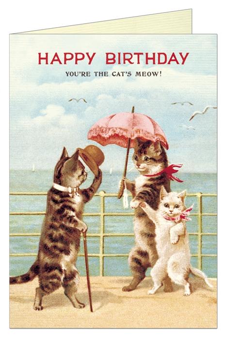 Õnnitluskaart Happy Birthday, Cats