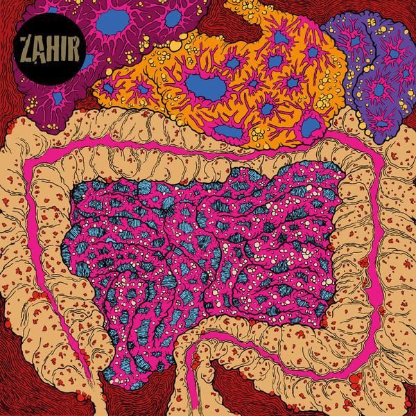 ZAHIR - WHAT NOISE? (2018) CD