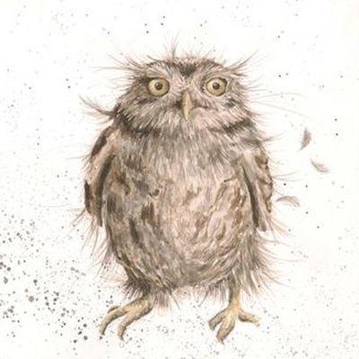Wrendale kinkepaki kaart Owl