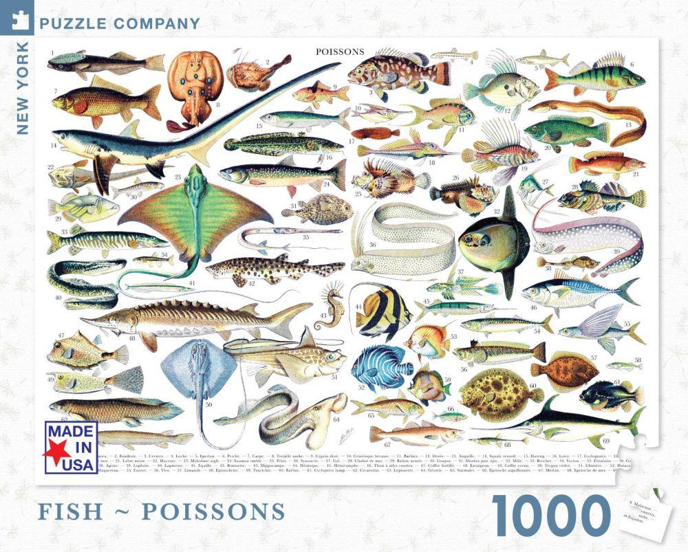 PUSLE FISH, 1000TK