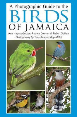 Photographic Guide to the Birds of Jamaica