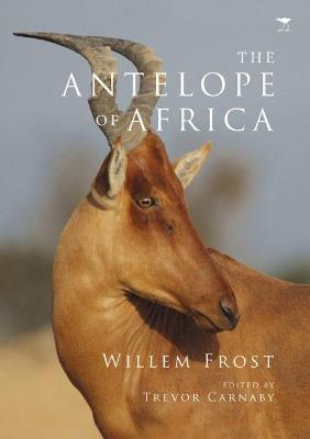 antelope of Africa