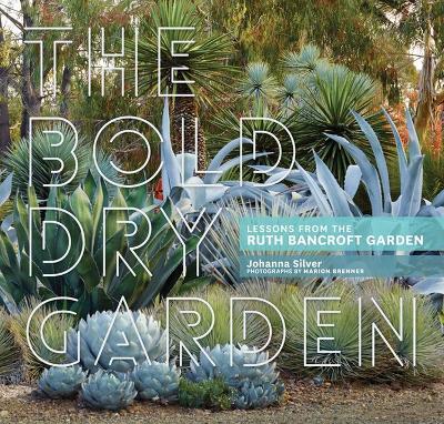 Bold Dry Garden
