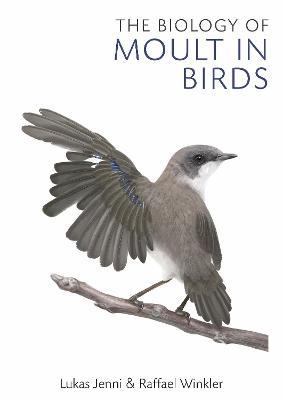 Biology of Moult in Birds