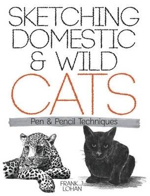 Sketching Domestic and Wild Cats
