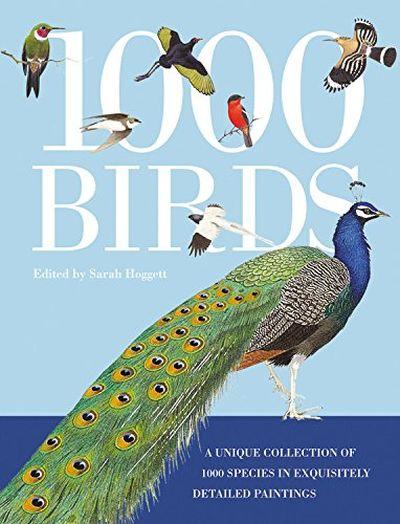 1000 Birds