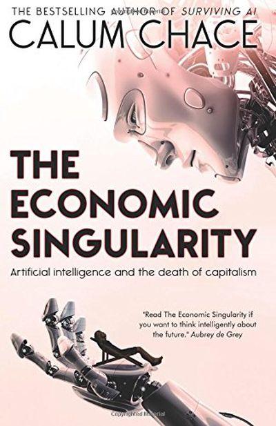 Economic Singularity