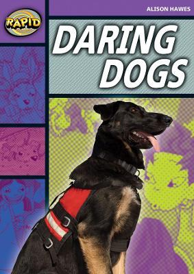 Rapid Stage 1 Set B: Daring Dogs(Series 1)