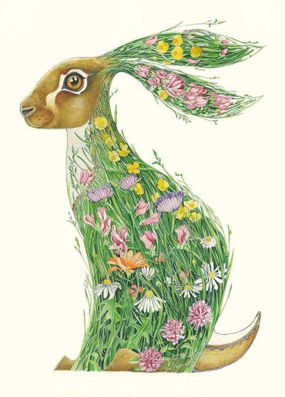 Õnnitluskaart Hare in A Meadow