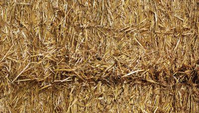 POSTER NEEDLE IN  A HAYSTACK