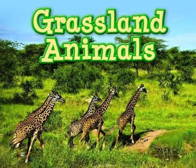 Grassland Animals