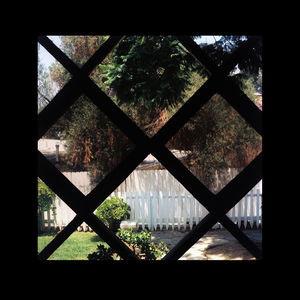 Chris Schlarb - Psychic Temple Iii (2016) LP