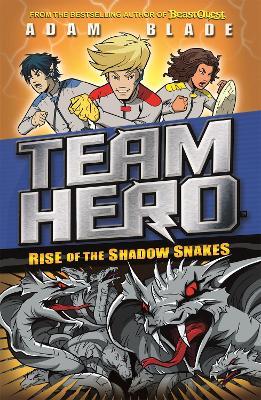 Team Hero: Rise of the Shadow Snakes