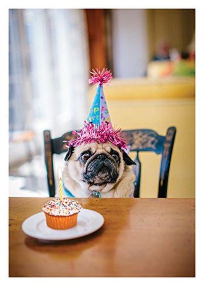 Õnnitluskaart Party Pug Dog