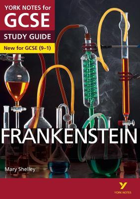 Frankenstein: York Notes for GCSE everything you need to catch up, study and prepare for and 2023 and 2024 exams and assessments