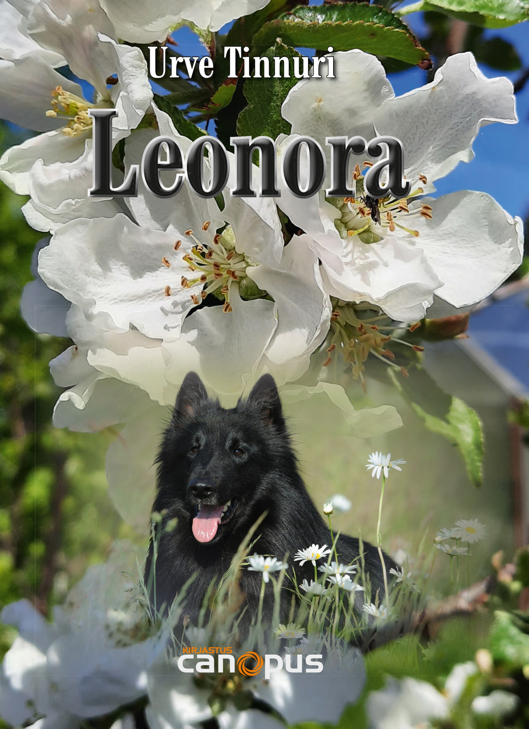 Leonora