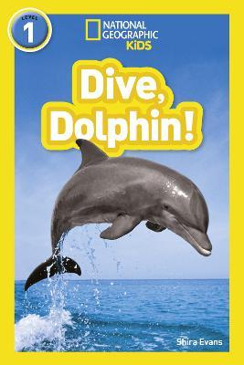 Dive, Dolphin!