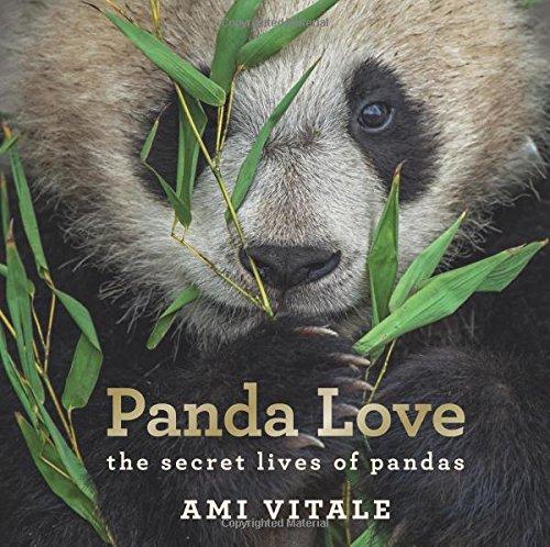 Panda Love. The Secret Lives of Pandas