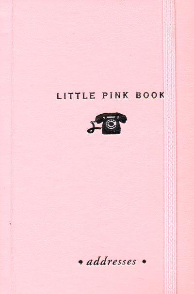 AADRESSIRAAMAT: LITTLE PINK BOOK