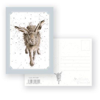 Wrendale postkaart Little Grey Hare