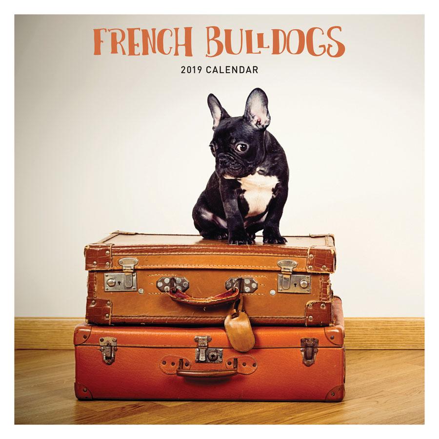 2019 Seinakalender French Bulldog