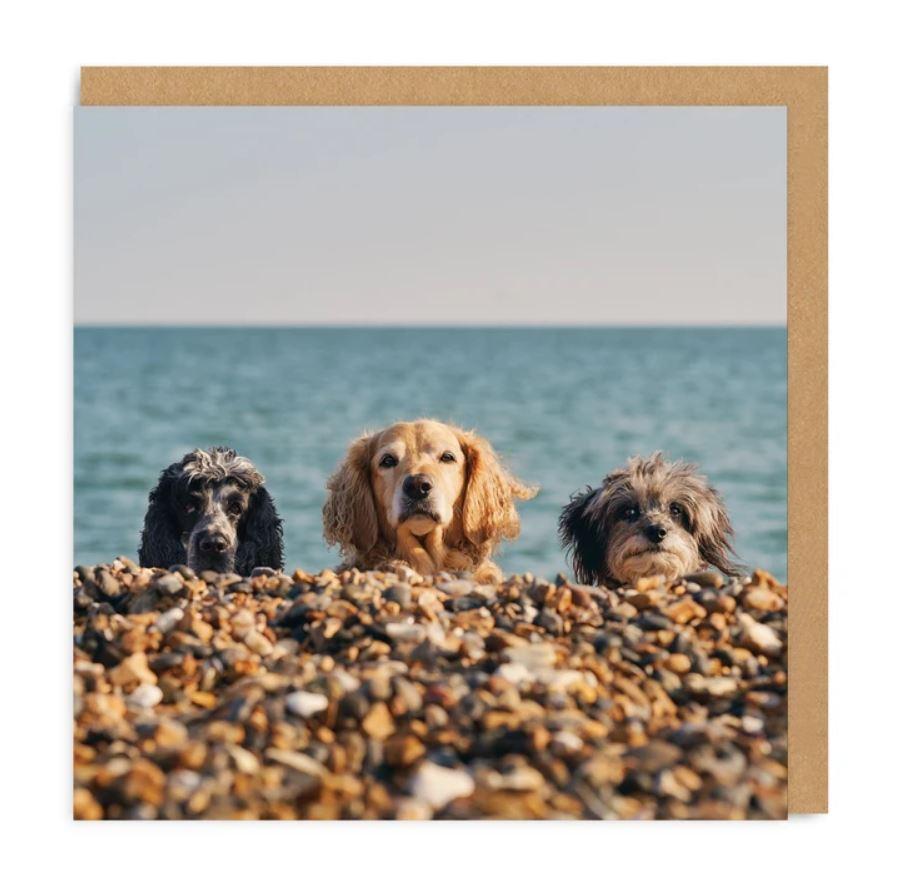 Õnnitluskaart Three Beach Dogs