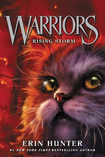 Warriors 04: Rising Storm