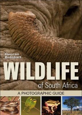 Wildlife of South Africa