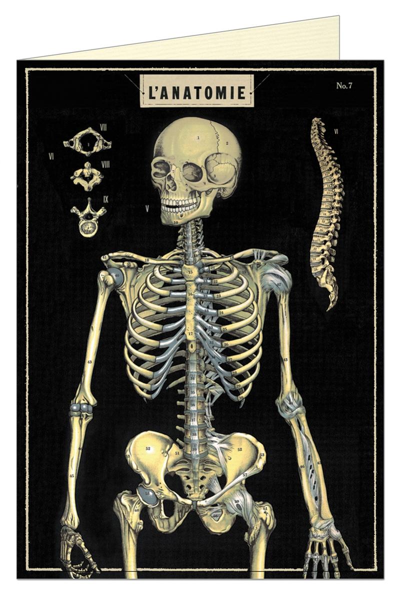 Õnnitluskaart Skeleton
