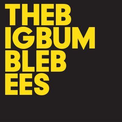 Big Bumble Bees - Big Bumble Bees (2014) LP