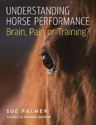 Understanding Horse Performance
