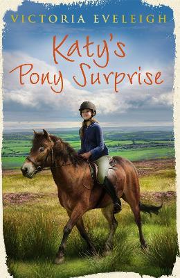 Katy's Exmoor Ponies: Katy's Pony Surprise