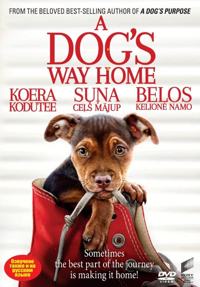KOERA KODUTEE / A DOG´S WAY HOME (2019) DVD