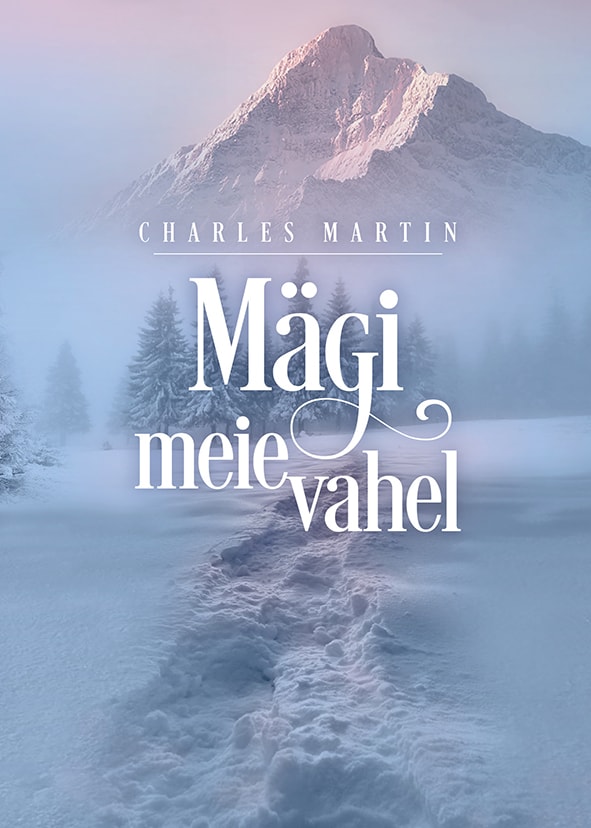Mägi meie vahel