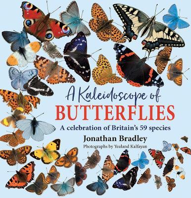 Kaleidoscope of Butterflies