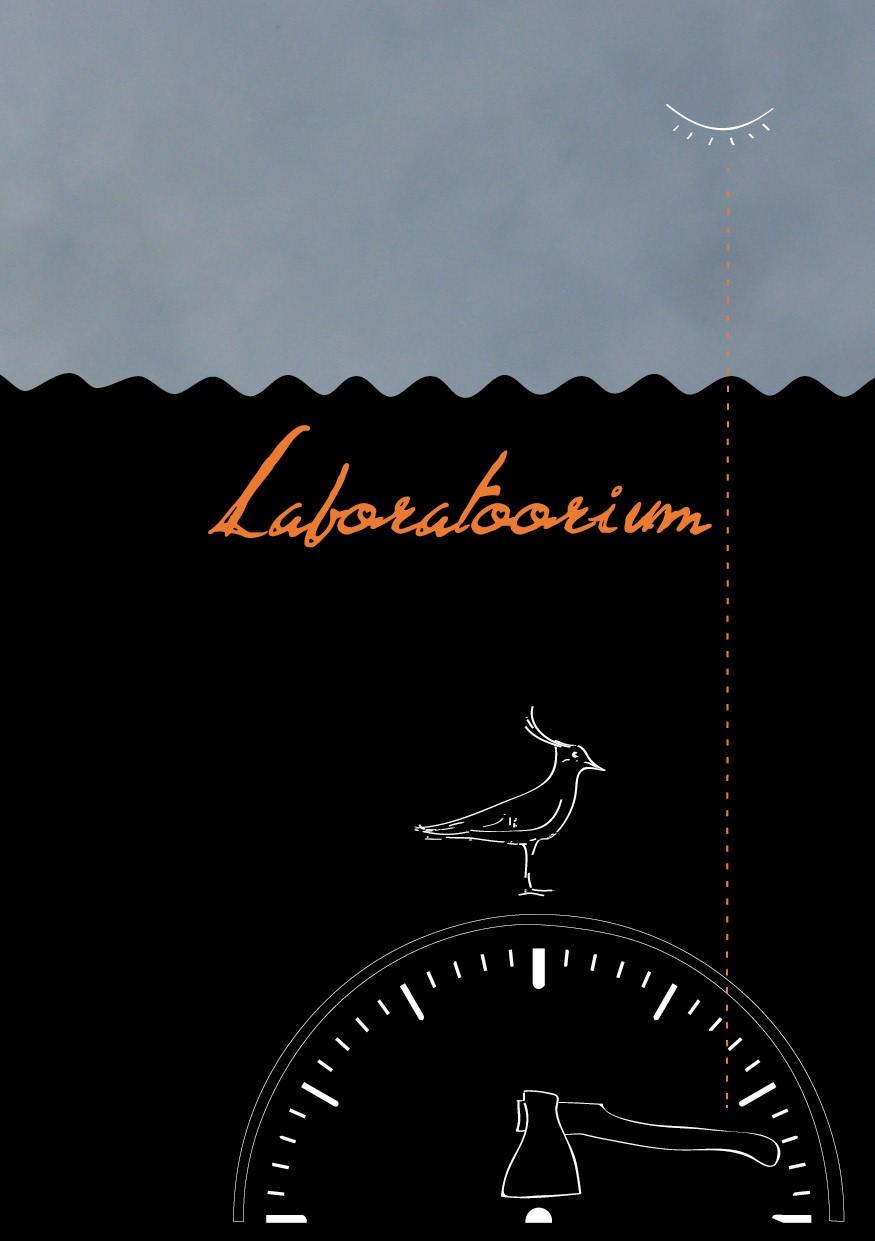 LABORATOORIUM. 44 LUULETUST