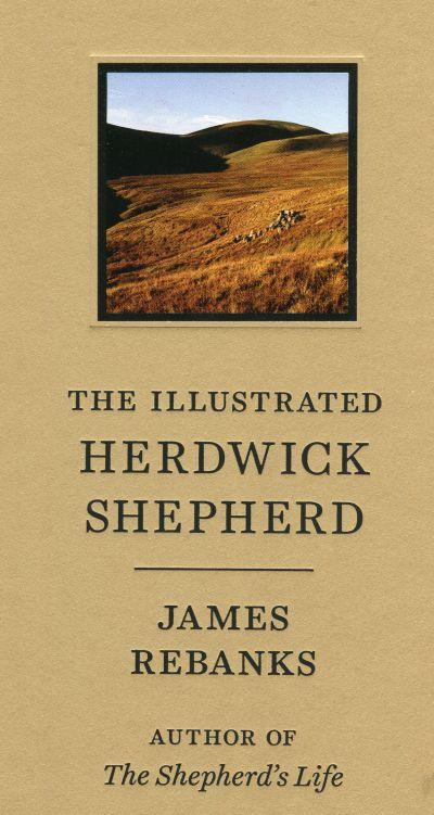 Illustrated Herdwick Shepherd
