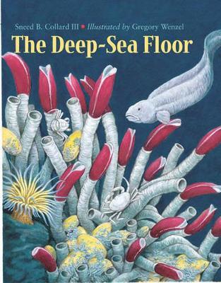 Deep-Sea Floor