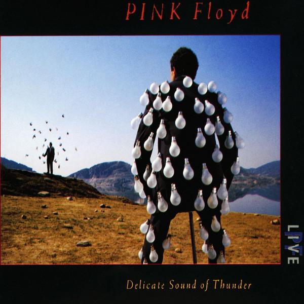 PINK FLOYD - A DELICATE SOUND OF THUNDER (1988) 2CD