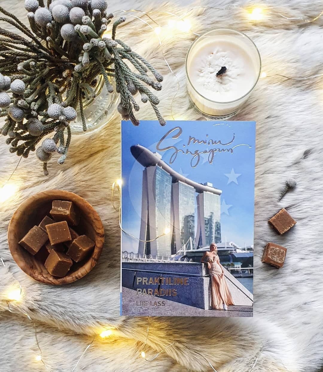 MINU SINGAPUR. PRAKTILINE PARADIIS