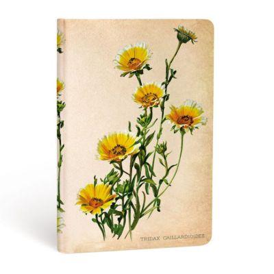 PAPERBLANKS: WOODLAND DAISIES LINED
