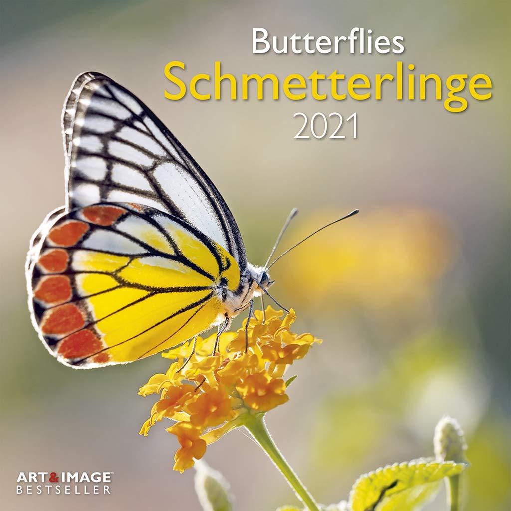 2021 Seinakalender Butterflies, 30X30cm