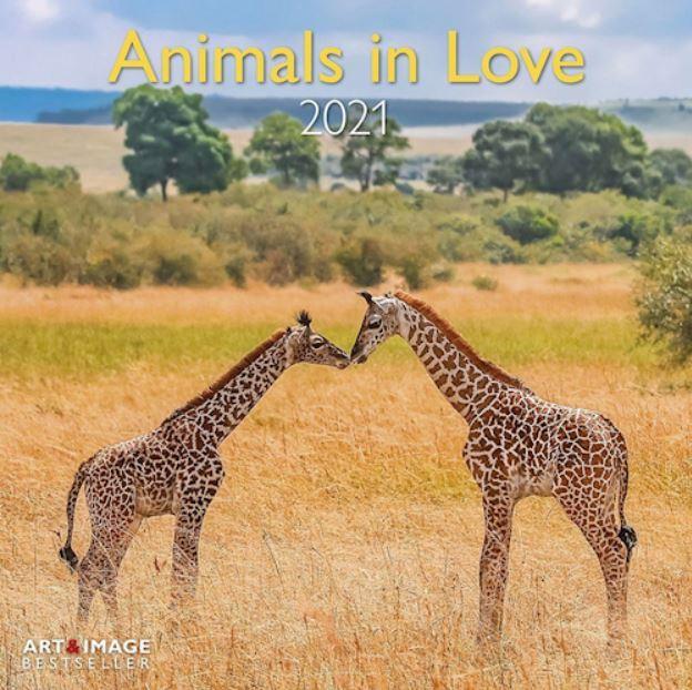 2021 Seinakalender Animals in Love, 30X30cm