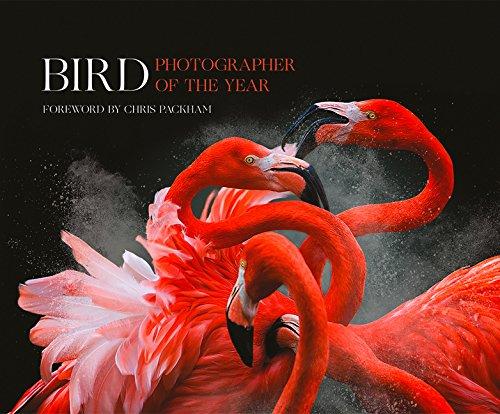 Bird Photographer of the Year Collection 3