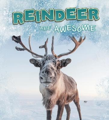 Reindeer Are Awesome