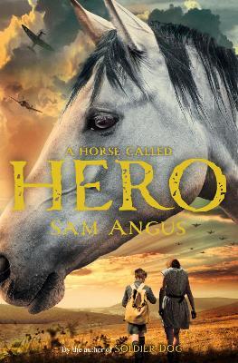 Horse Called Hero